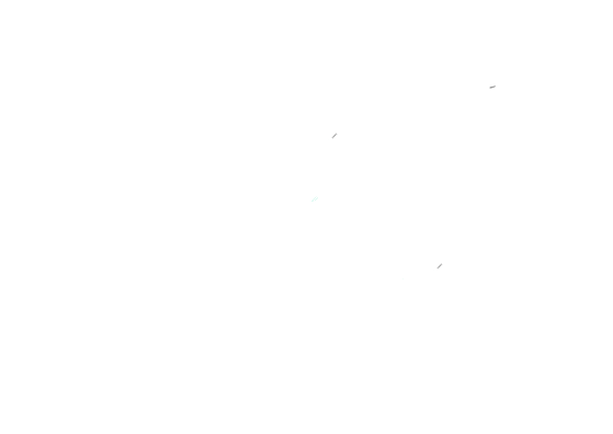 Lauren St. Julian