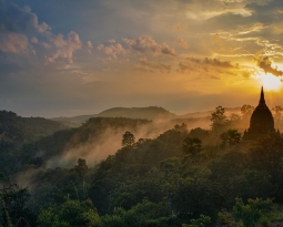 The 7 Most Common Signs From Loved Ones in the Afterlife (And How to Recognize Them)