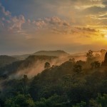 Spiritual signs from loved ones in the afterlife feather symbol